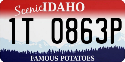ID license plate 1T0863P