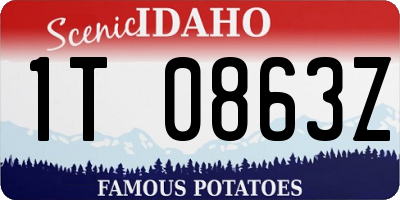 ID license plate 1T0863Z