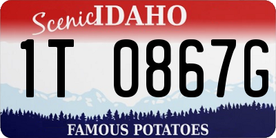 ID license plate 1T0867G