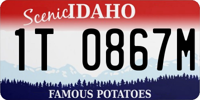 ID license plate 1T0867M
