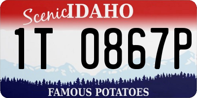 ID license plate 1T0867P