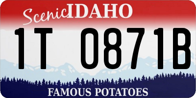 ID license plate 1T0871B