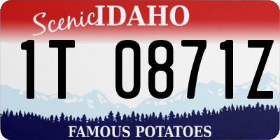 ID license plate 1T0871Z