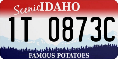 ID license plate 1T0873C