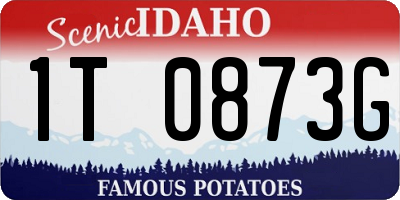 ID license plate 1T0873G