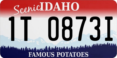 ID license plate 1T0873I