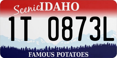 ID license plate 1T0873L