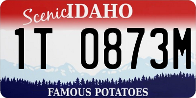 ID license plate 1T0873M
