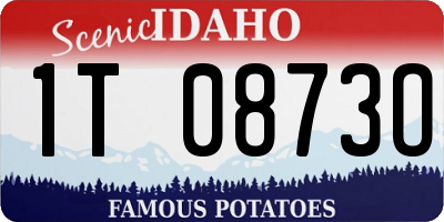 ID license plate 1T0873O