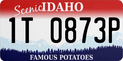 ID license plate 1T0873P
