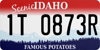 ID license plate 1T0873R