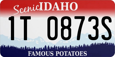 ID license plate 1T0873S