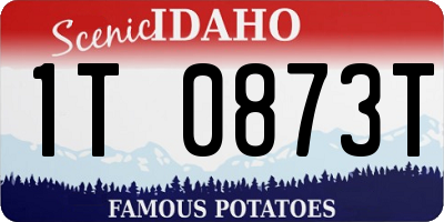 ID license plate 1T0873T