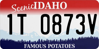 ID license plate 1T0873V