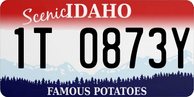 ID license plate 1T0873Y