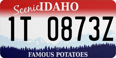 ID license plate 1T0873Z