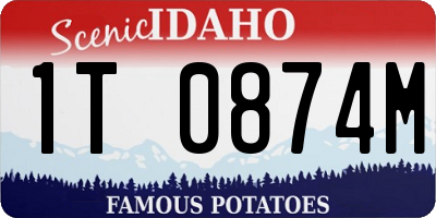 ID license plate 1T0874M