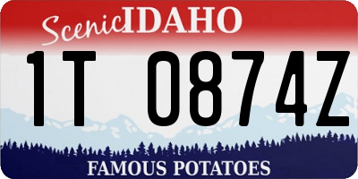 ID license plate 1T0874Z