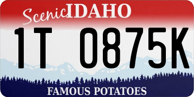 ID license plate 1T0875K