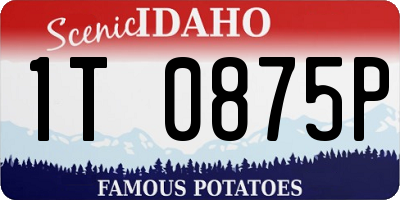 ID license plate 1T0875P