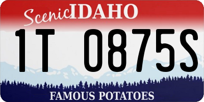 ID license plate 1T0875S