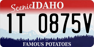 ID license plate 1T0875V