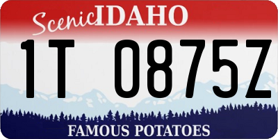ID license plate 1T0875Z