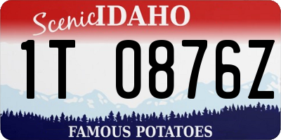 ID license plate 1T0876Z