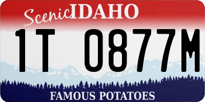 ID license plate 1T0877M