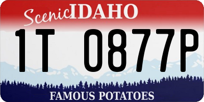 ID license plate 1T0877P