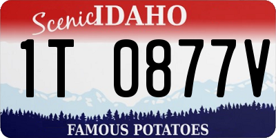 ID license plate 1T0877V