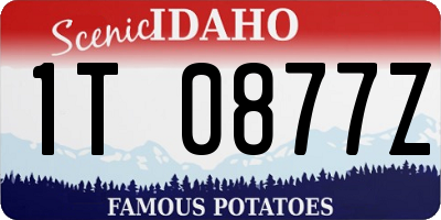 ID license plate 1T0877Z