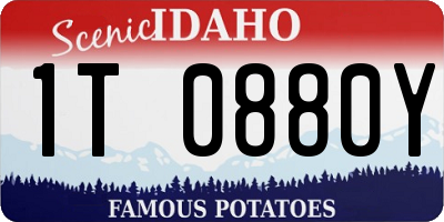 ID license plate 1T0880Y