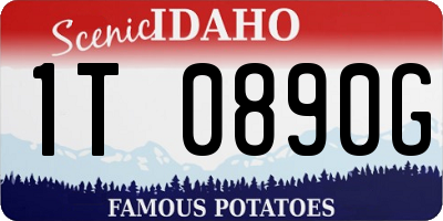 ID license plate 1T0890G