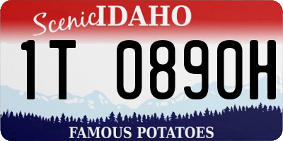 ID license plate 1T0890H