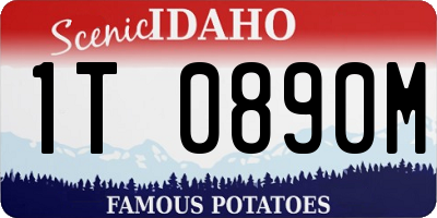 ID license plate 1T0890M