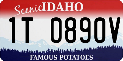 ID license plate 1T0890V