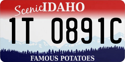 ID license plate 1T0891C
