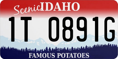 ID license plate 1T0891G
