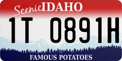 ID license plate 1T0891H