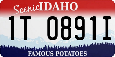 ID license plate 1T0891I