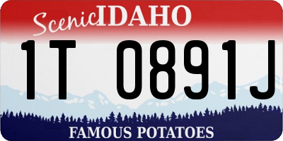 ID license plate 1T0891J