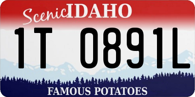 ID license plate 1T0891L