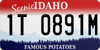 ID license plate 1T0891M