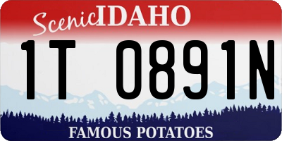 ID license plate 1T0891N