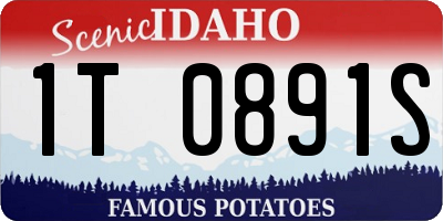 ID license plate 1T0891S