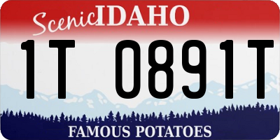 ID license plate 1T0891T