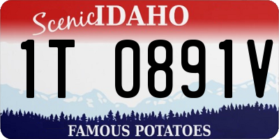 ID license plate 1T0891V