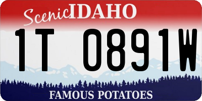 ID license plate 1T0891W