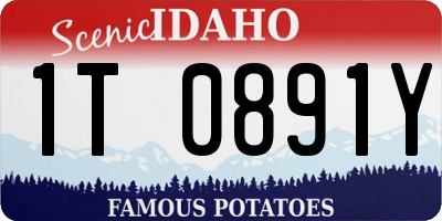ID license plate 1T0891Y